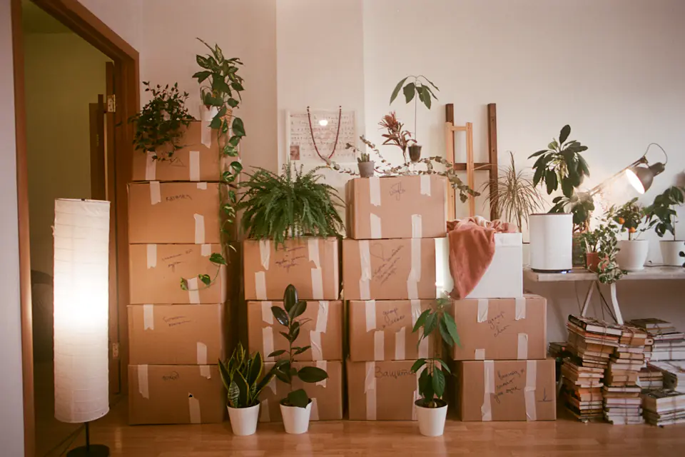 Flat removal in Newcastle Apartment living room filled with packed moving boxes and house plants