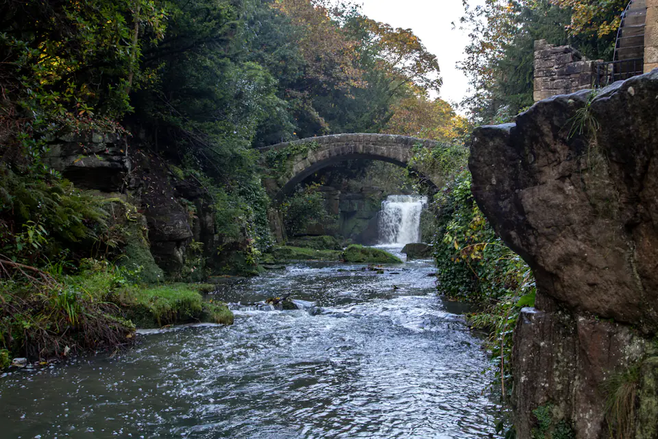 Waterfall on the Ouseburn in Jesmond Dene surrounded by green trees